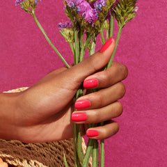 Bougainvillea | Semi-permanent