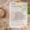 Set von 2 festen Shampoos | Die Parfümierten