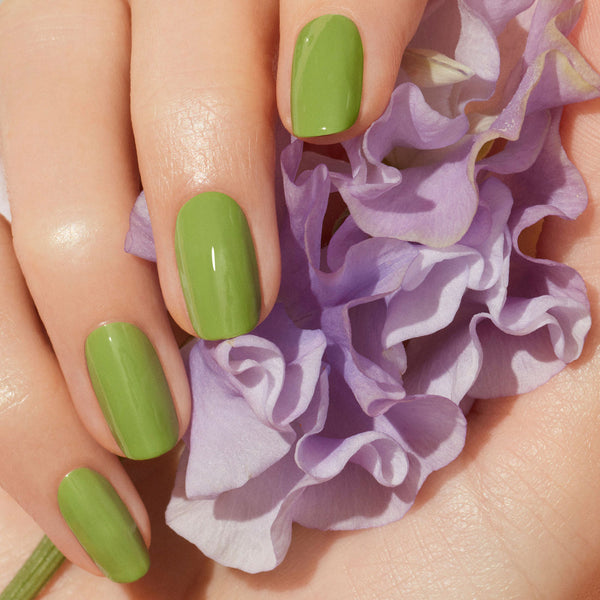 Petit Pois | Semi-permanent
