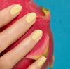 Mimosa | Semi-permanent