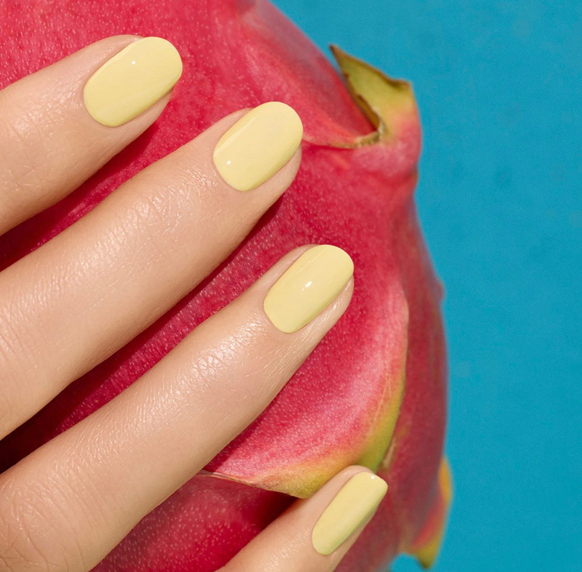 Mimosa | Semi-permanent