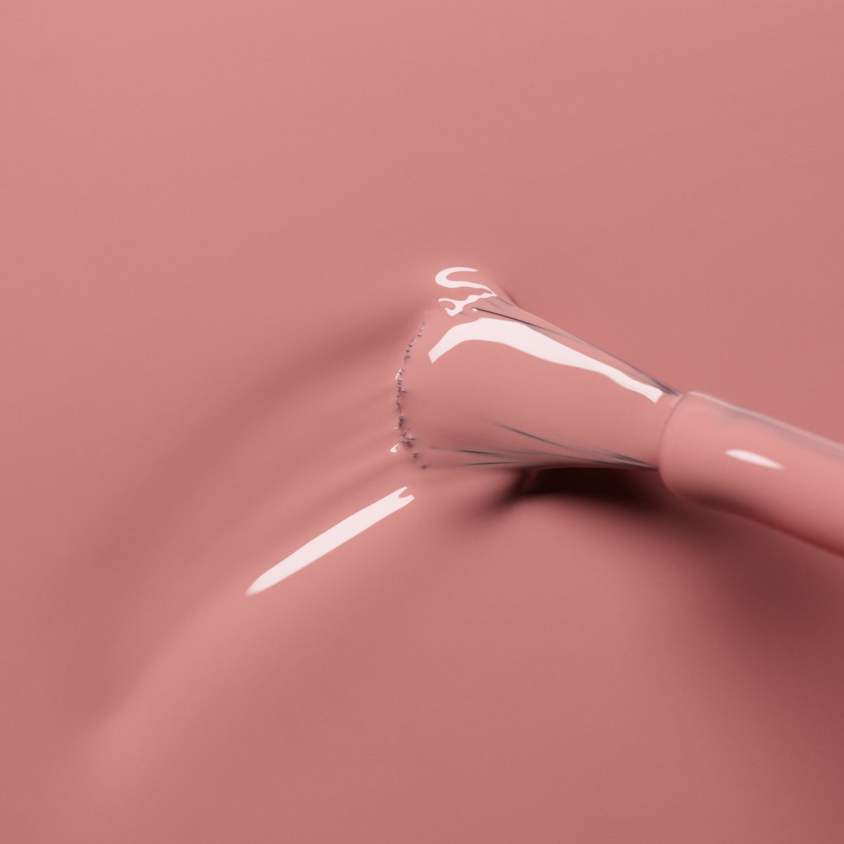 Old Rose | Semi-permanent