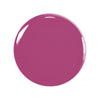 Armeria
