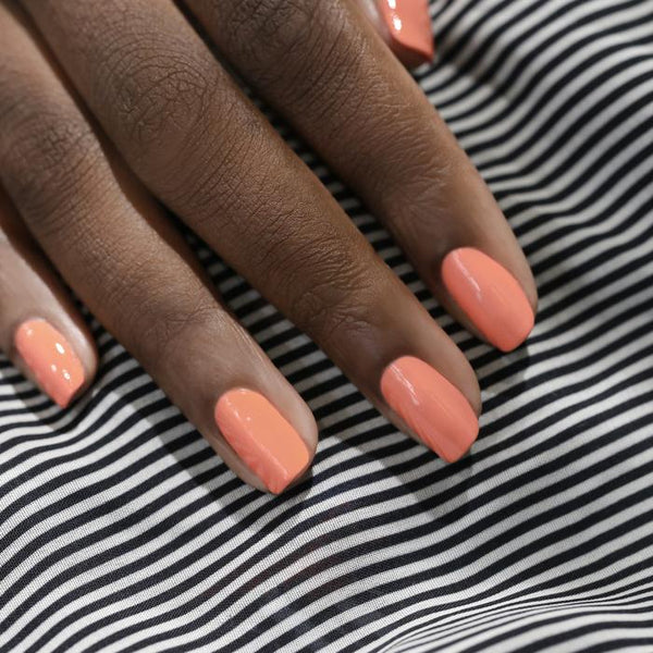 Bird of Paradise | Semi-permanent