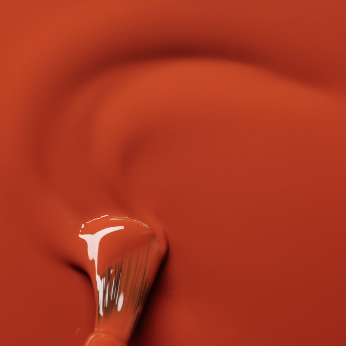 Terracotta | Semi-permanent